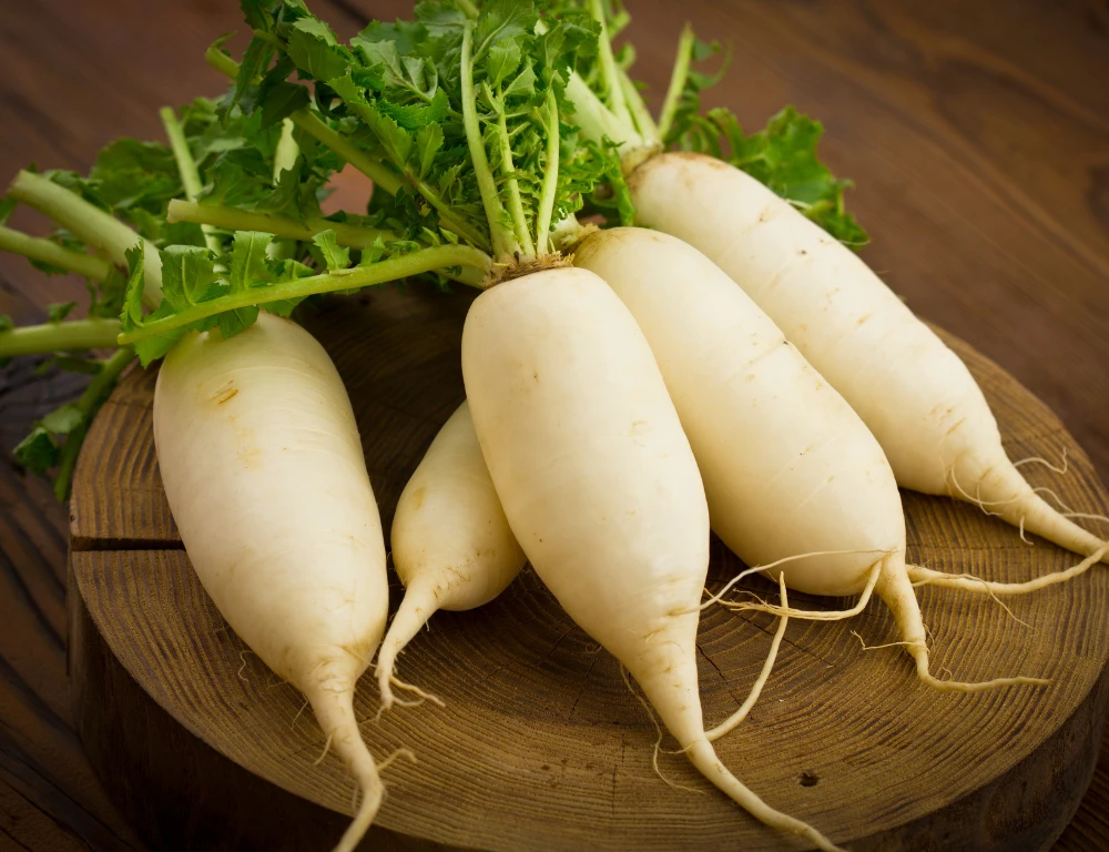 Chọn củ cải trắng tươi ngon để làm củ cải ngâm tương chuẩn