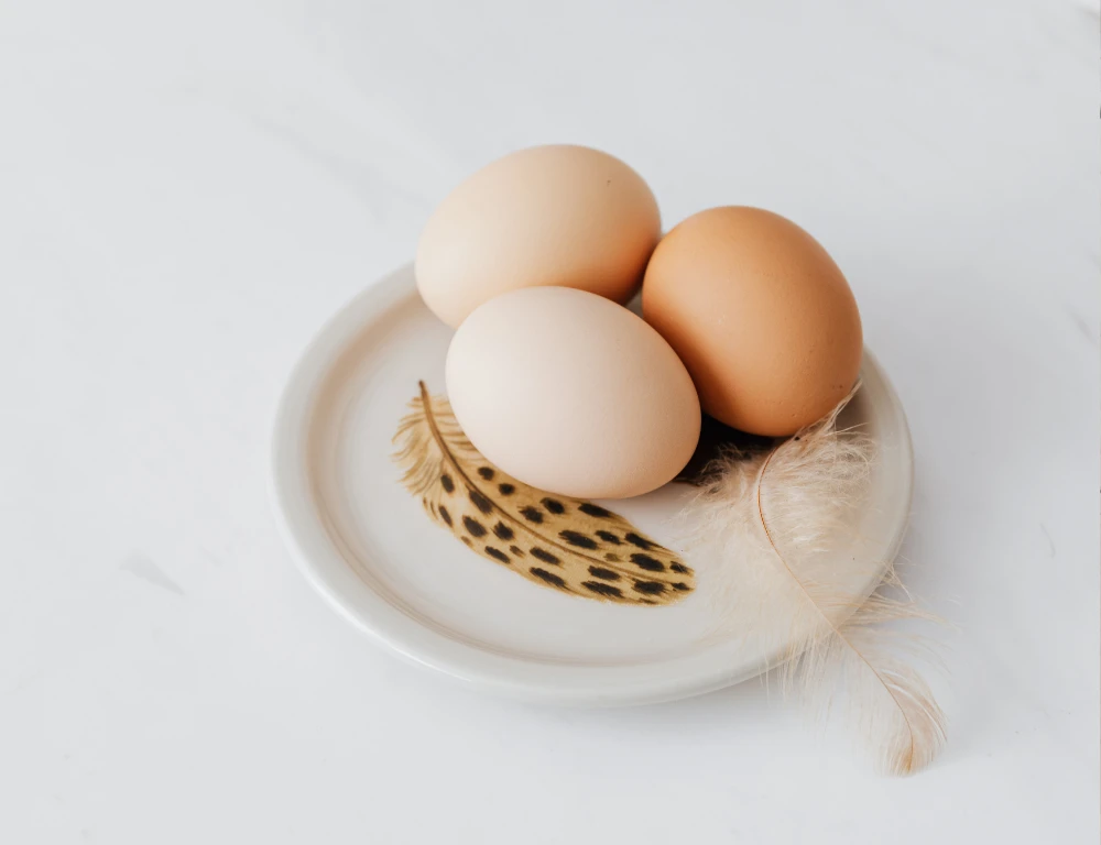 Chọn trứng tươi để có thành phẩm ngon nhất