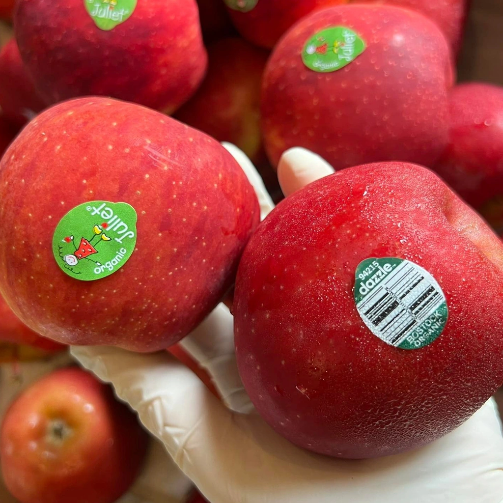 Ma trận trái cây nhập khẩu làm người mua gặp nhiều khó khăn